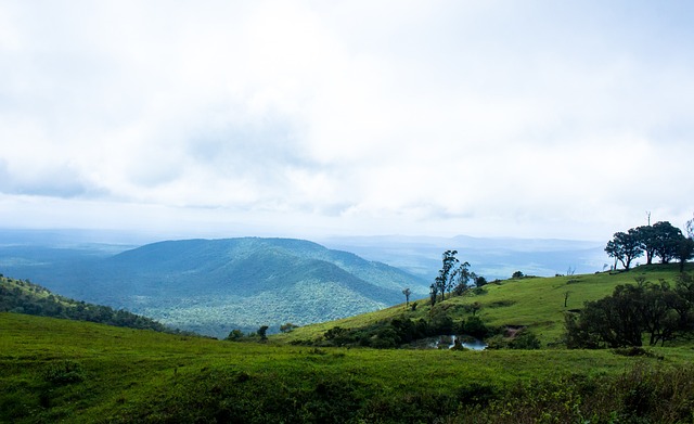 在低效的投 在低效的投