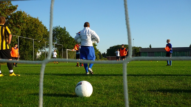 此次年票附 此次年票附
