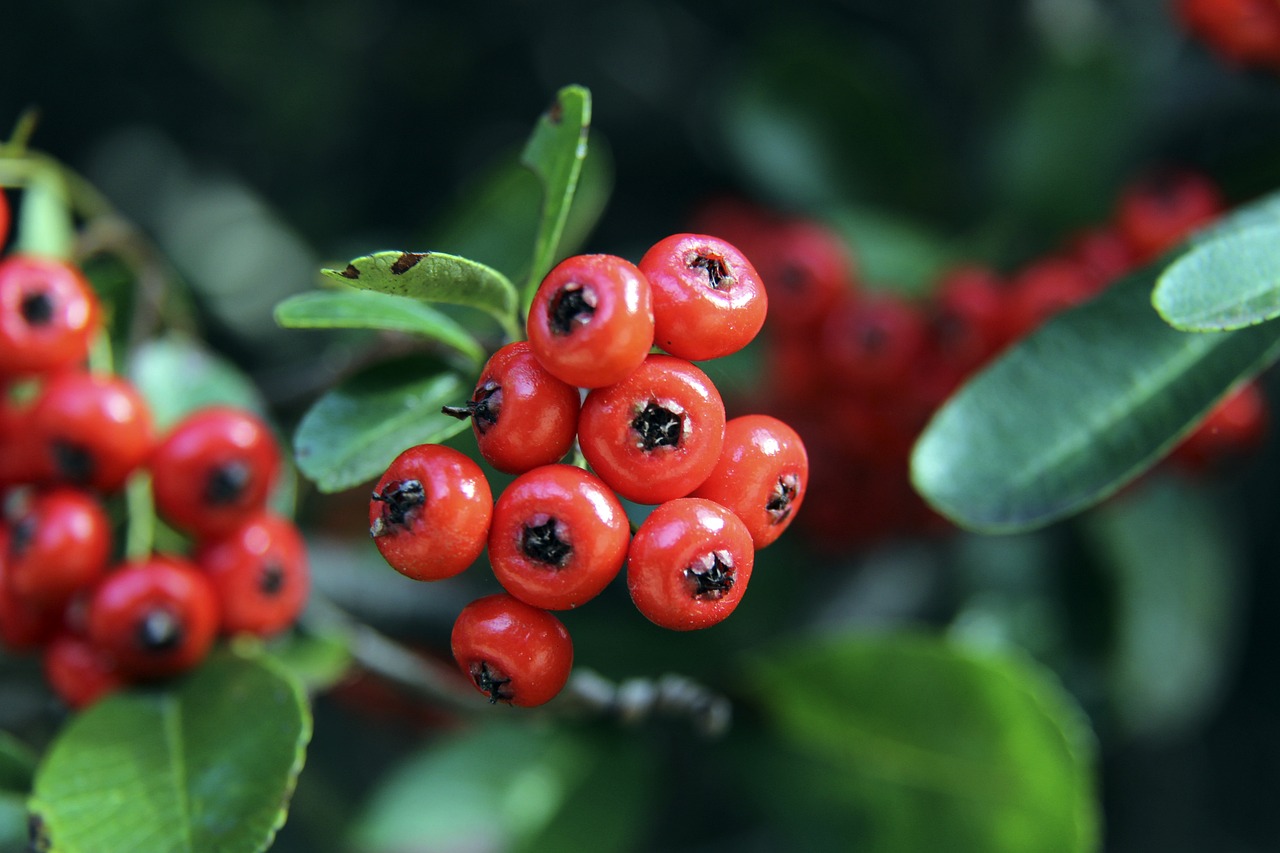 不仅是一场 不仅是一场