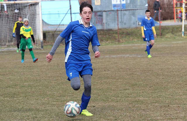 今年的排名 今年的排名