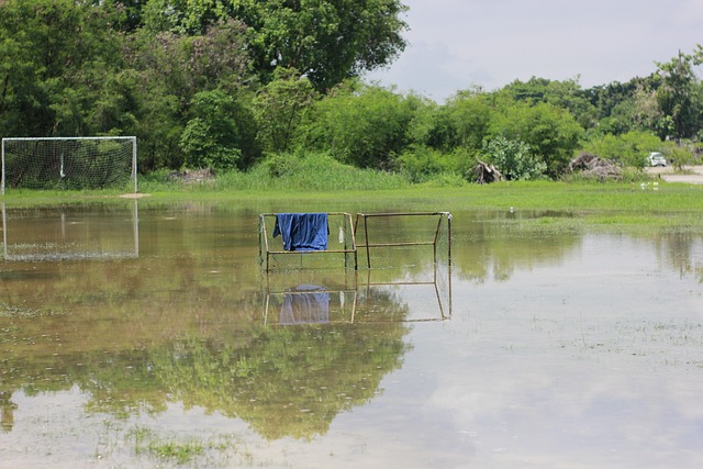 为我们的足 为我们的足