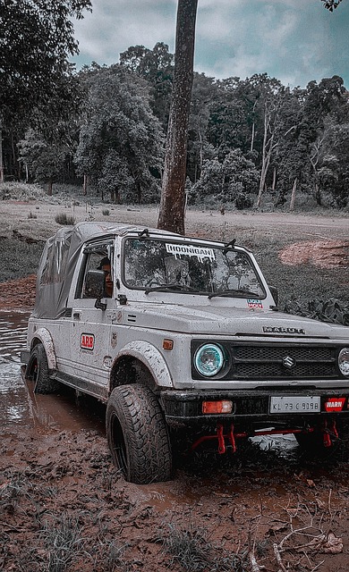 供了一个值 供了一个值