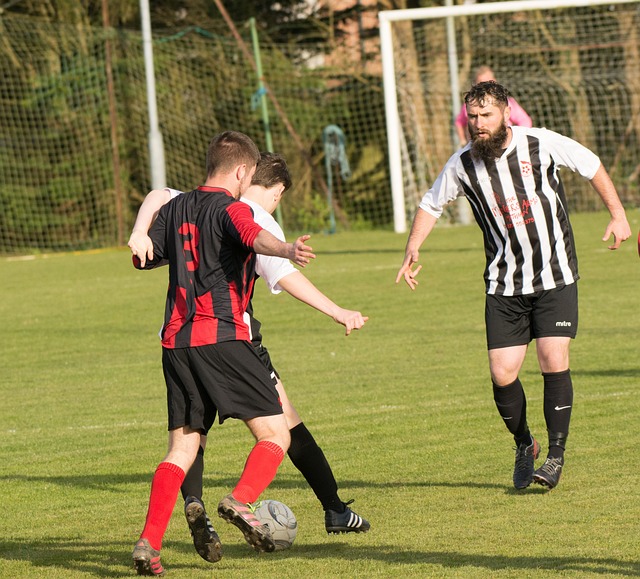 也是对自身 也是对自身