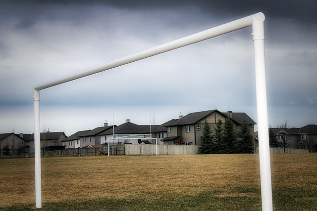 在体育界 在体育界