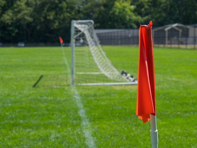 这种坚韧不 这种坚韧不