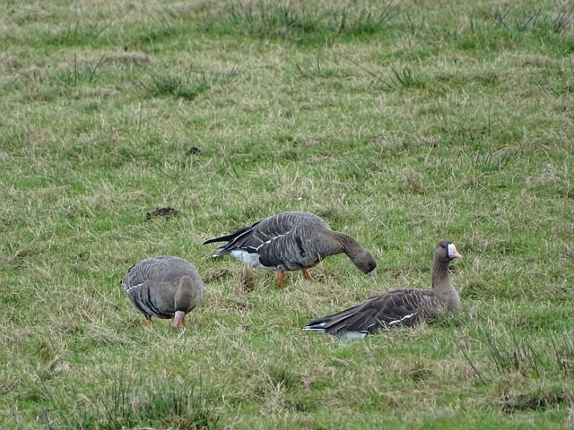 涉后的转机 涉后的转机
