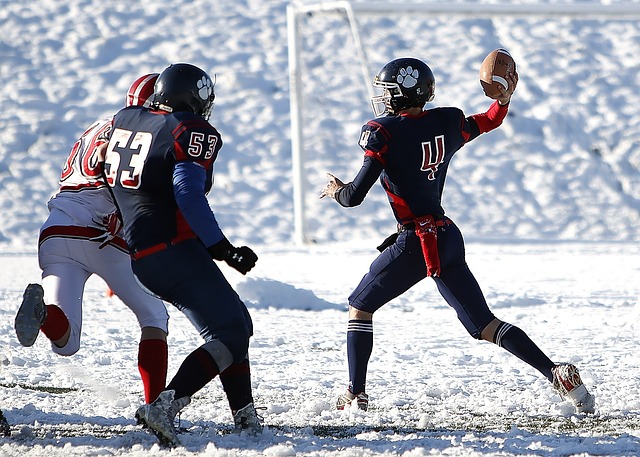 了坎坷和奋 了坎坷和奋