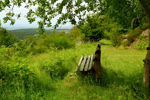 球员的表现 球员的表现